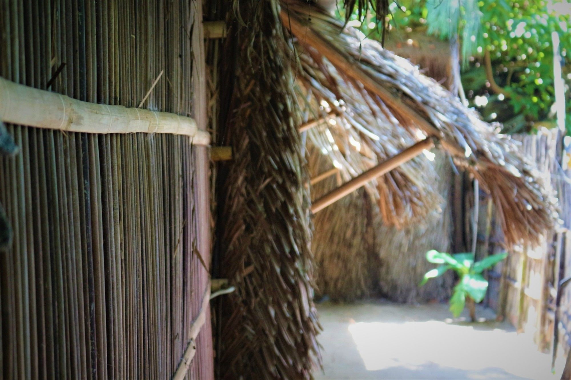 Under The Coconut Tree Hotel Hoi An Exterior photo