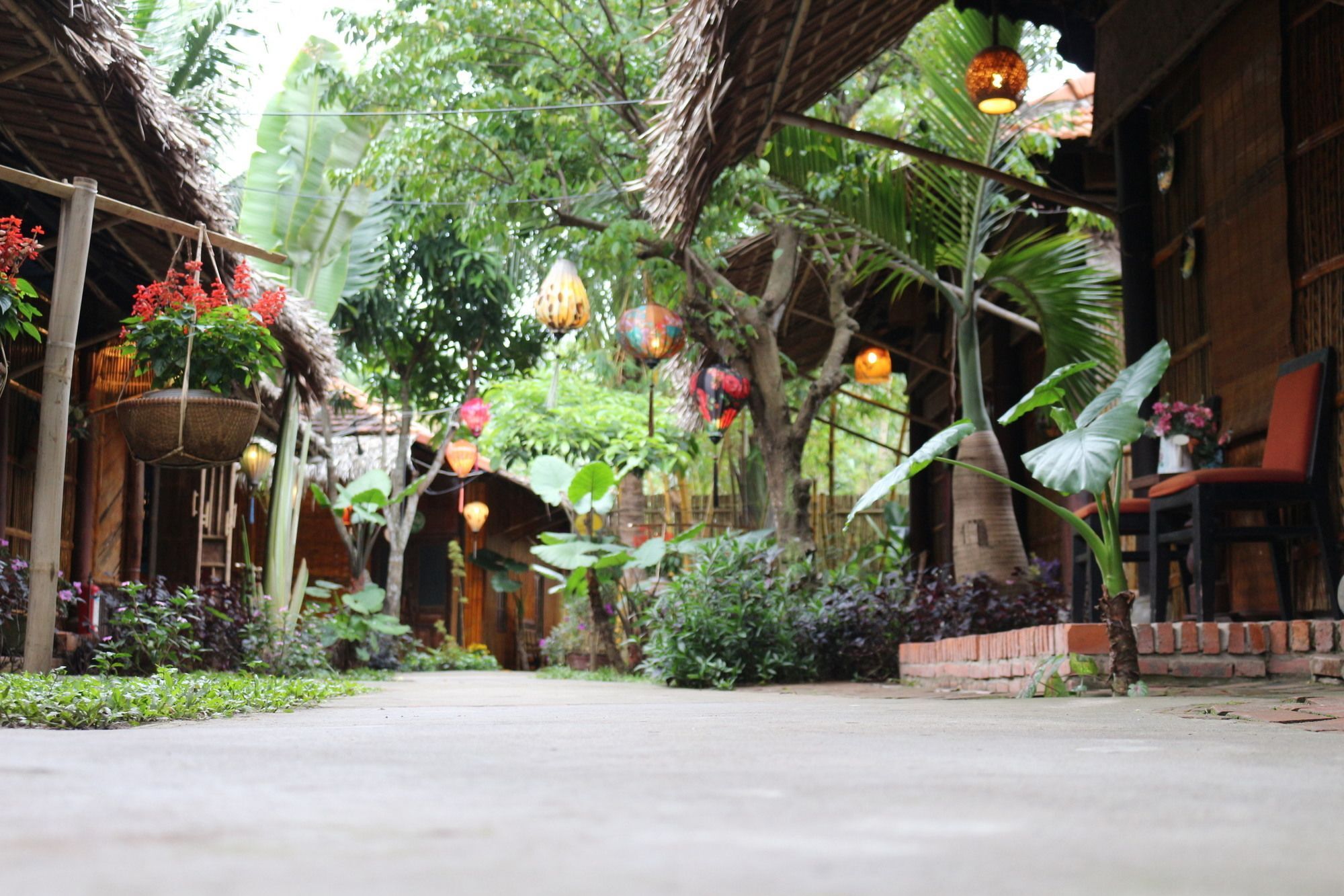 Under The Coconut Tree Hotel Hoi An Exterior photo