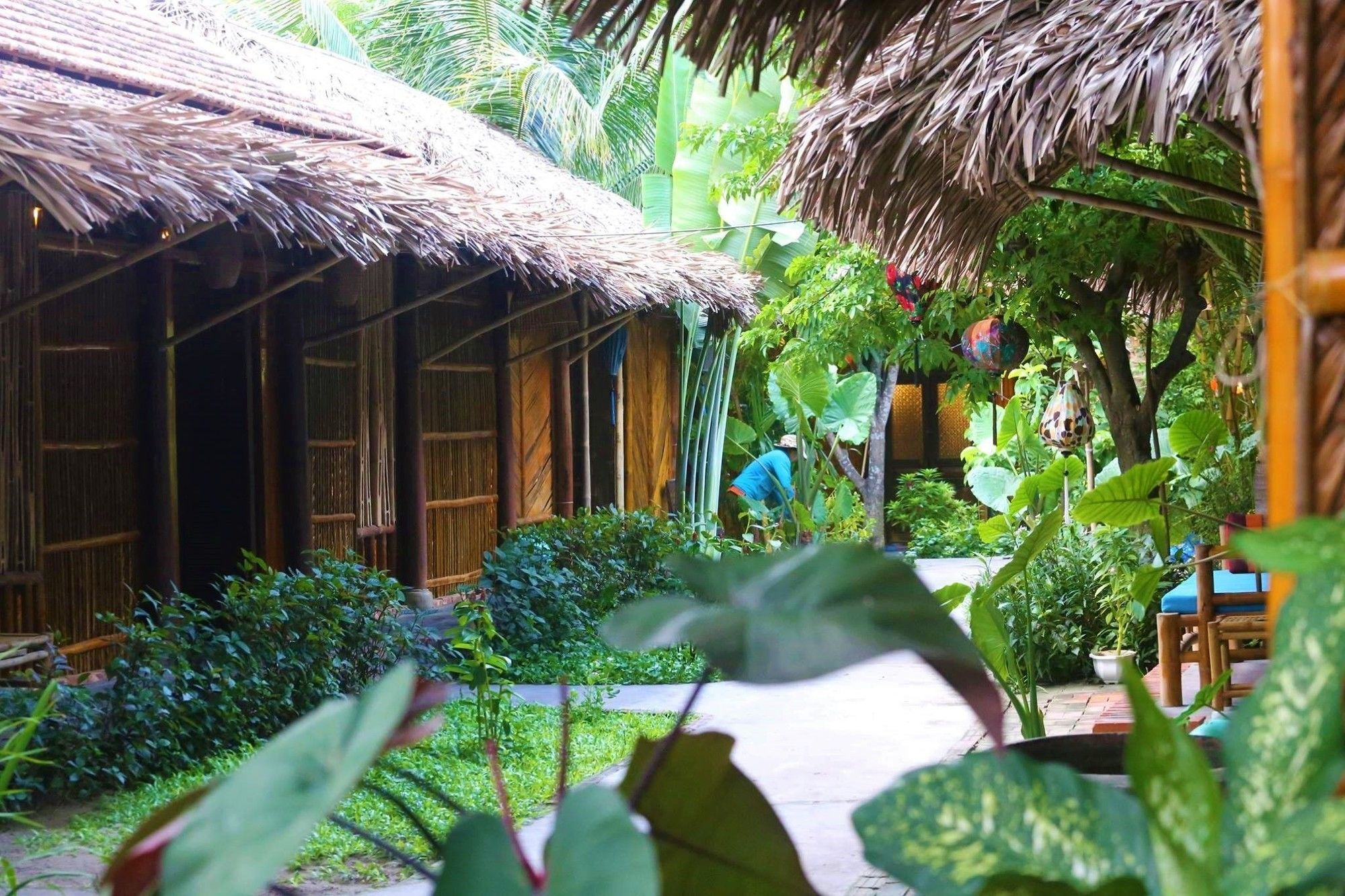 Under The Coconut Tree Hotel Hoi An Exterior photo